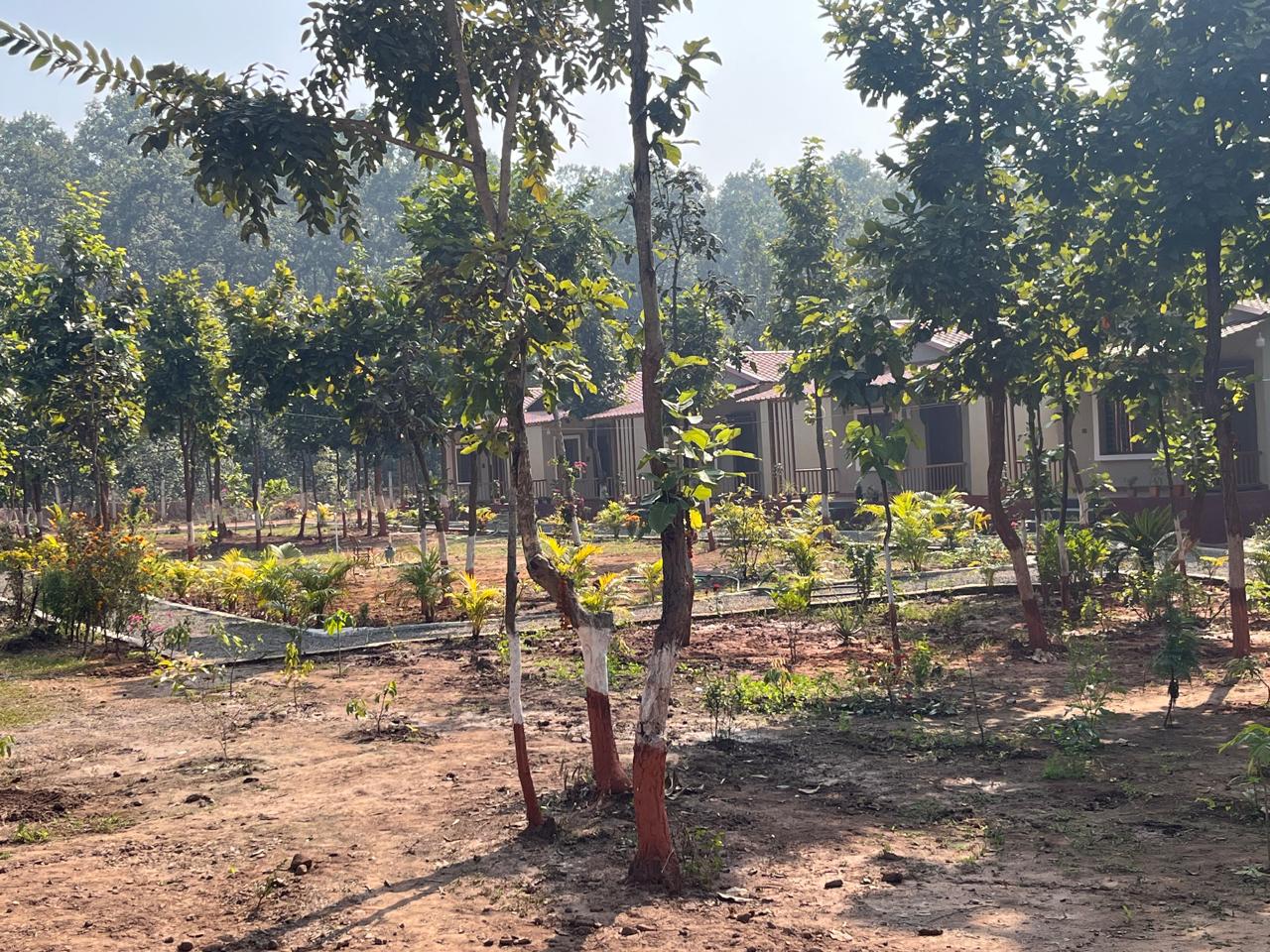 Luxury resort pool with palm trees at sunset